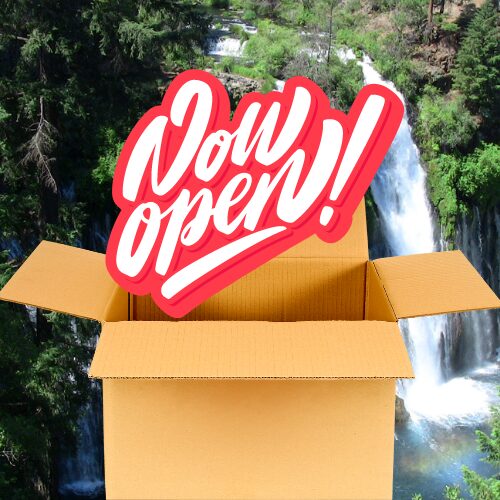 Just another WordPress site